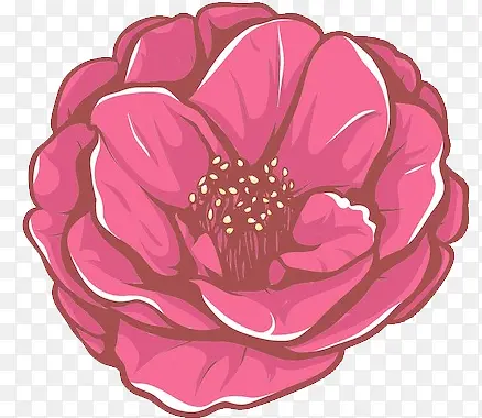 �ֻ�컨-������