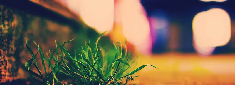 ��ǿ��С��-������