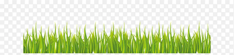 ����Ȼ��ɫ�ݵ�-������