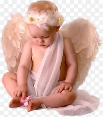 �ɰ�С�к�-������