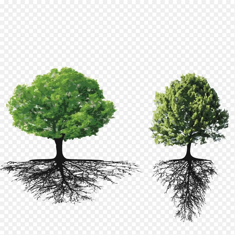 ��ľ�ز�-������