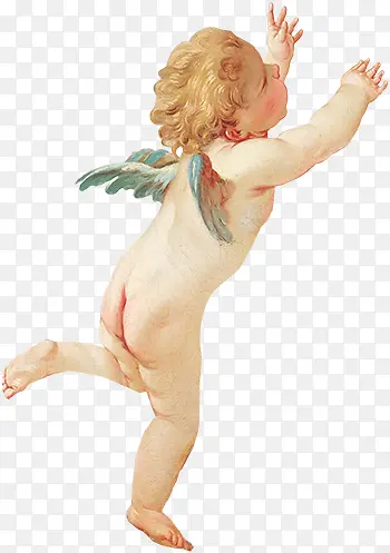 ŷ��Ӥ��-������