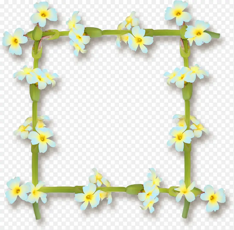 ��֦����߿�-������