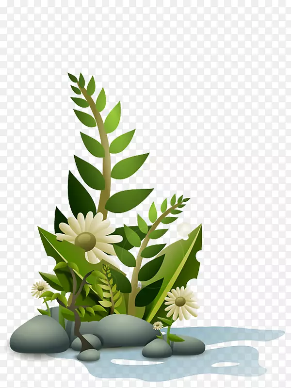 ˮ��ֲ�������-������