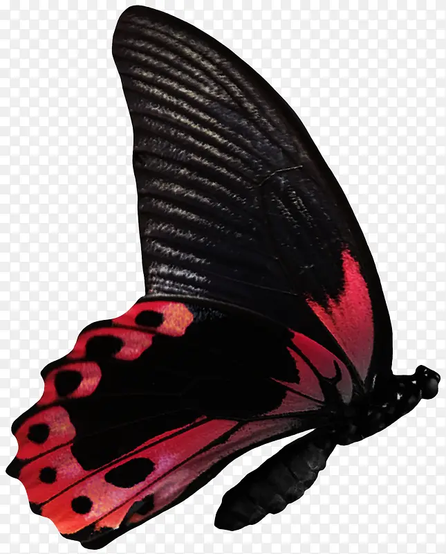 Ư����ɫ����-������