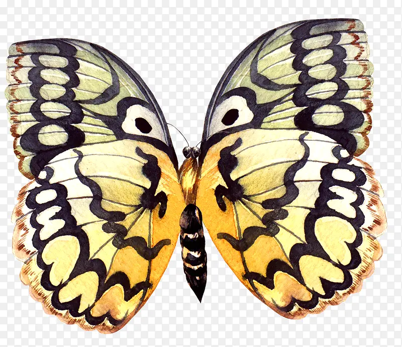 �ֻ��ɫƯ������-������