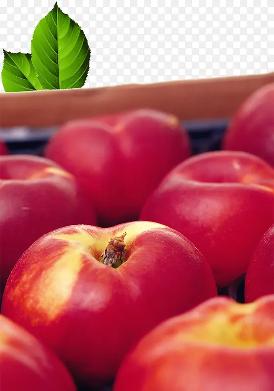 ��ɫˮ��ƻ������-������