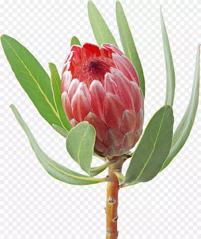 ����������-���޾�-������