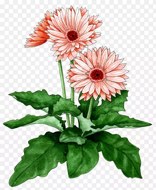 ���޾��л�-������