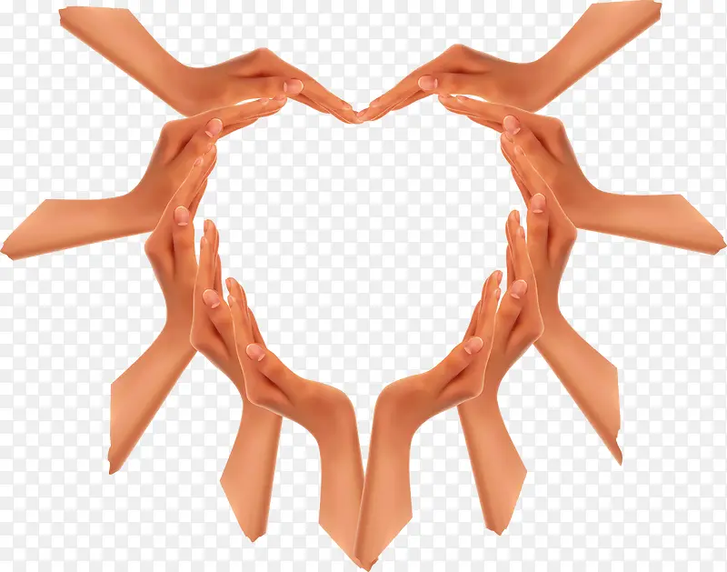 ���ư���-������