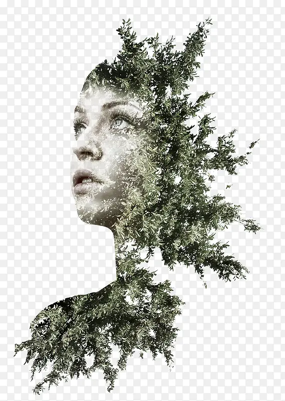 ��������������廭-������