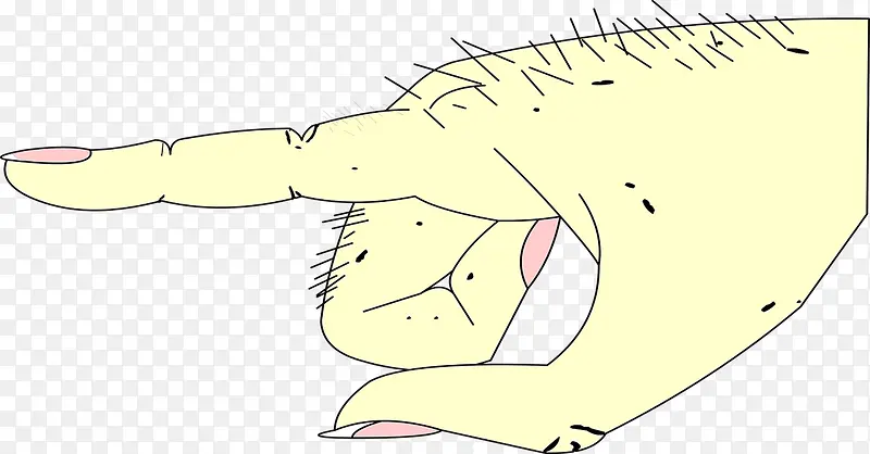 �ֻ泤����ë����-������