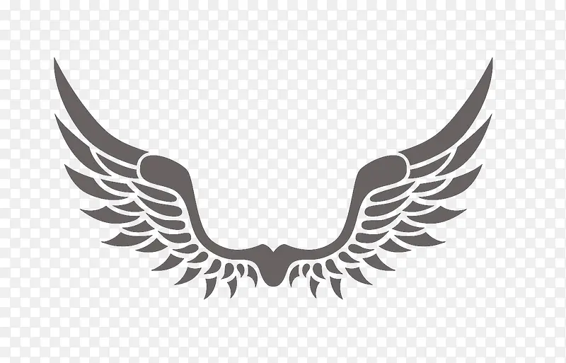 ����ĳ��-������