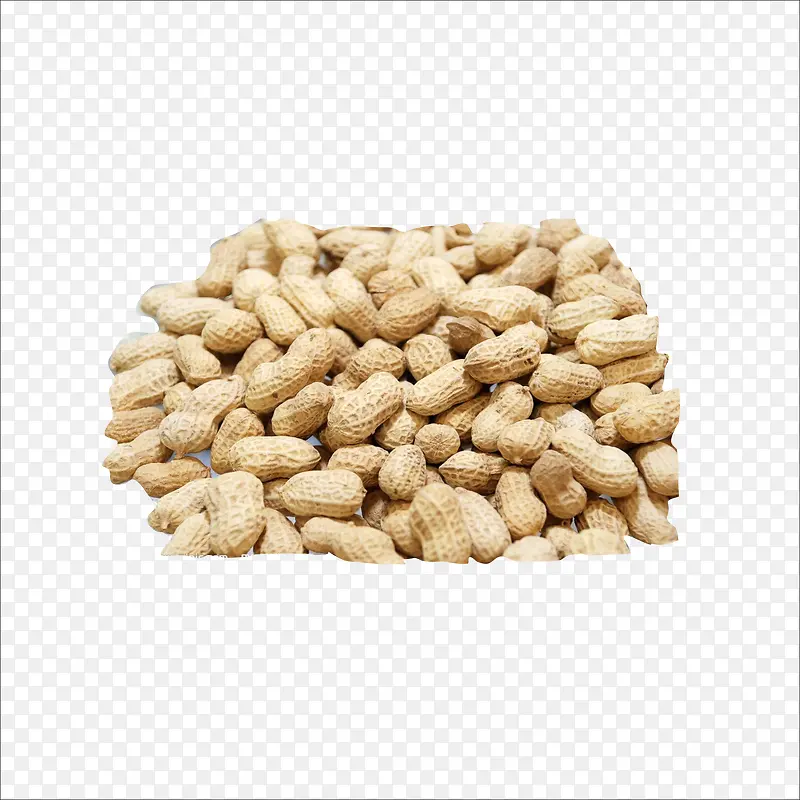 ���ʻ���-������