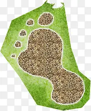 ��ɫ�����Ѿ-������