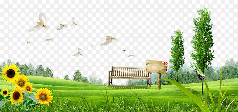 �̲ݷ��Ӻ�ƽ��-������