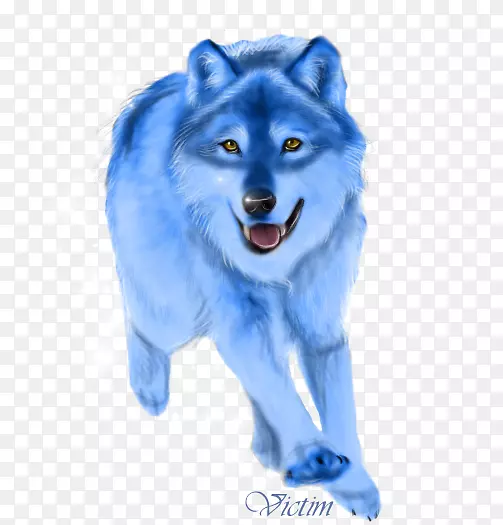 ����Ȯ�ƣ����ӣ�ʳ��-����-������