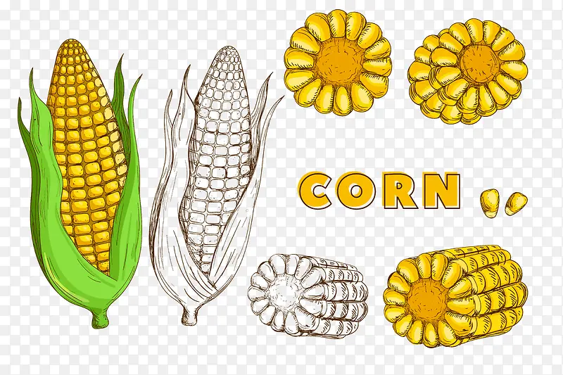 �ֻ������ʳ���ز�-������