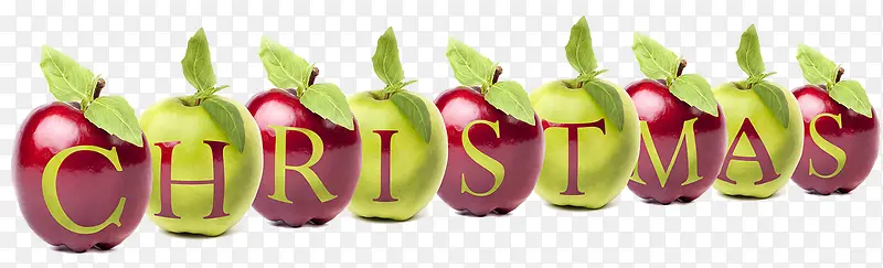 ʥ����ƻ��-������