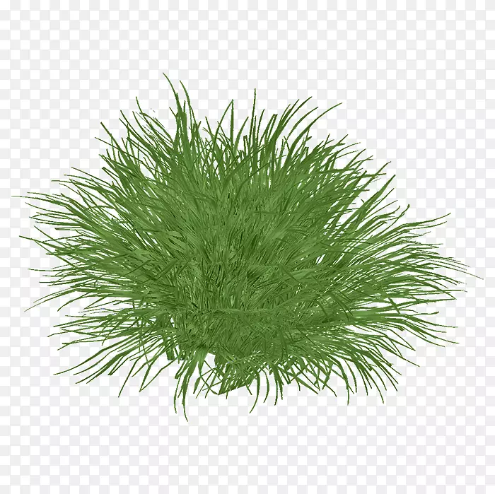 ��é��-���ʲ�-������