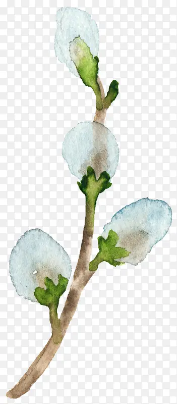 ��ɫ����-������