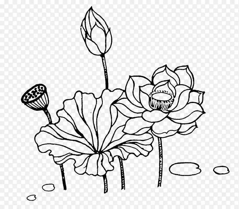 ˯���ֻ��߸�-������