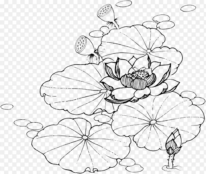 �ֻ��ʻ�˯��-������