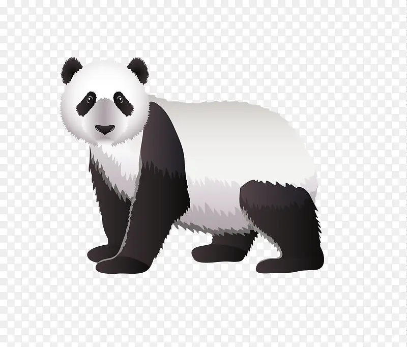 ��ͨ��è-������