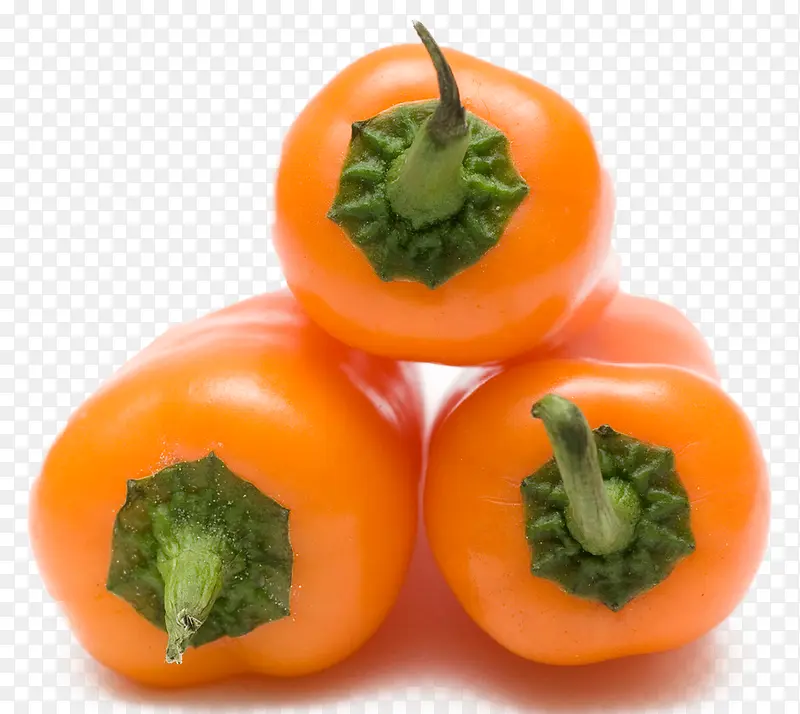 ��ɫ����-������