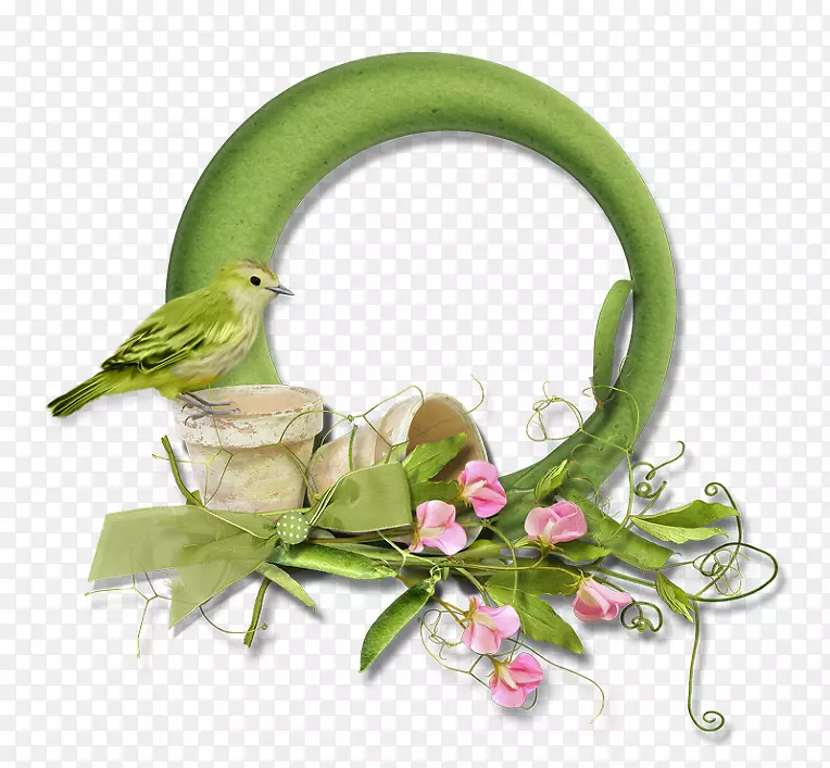 �簲���������ֽ-���Ϻ�-������