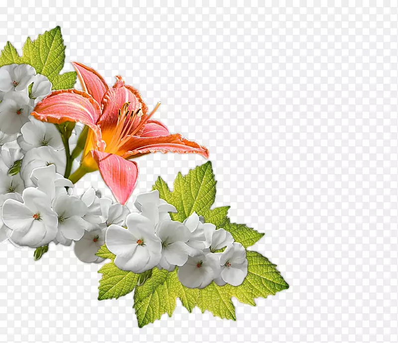 �������뻨��-������-������