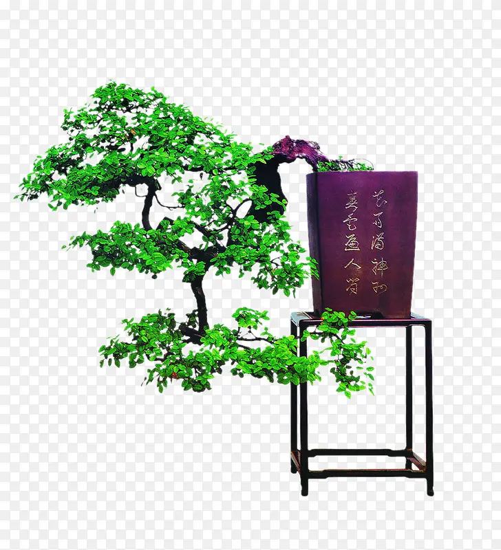 ��-������