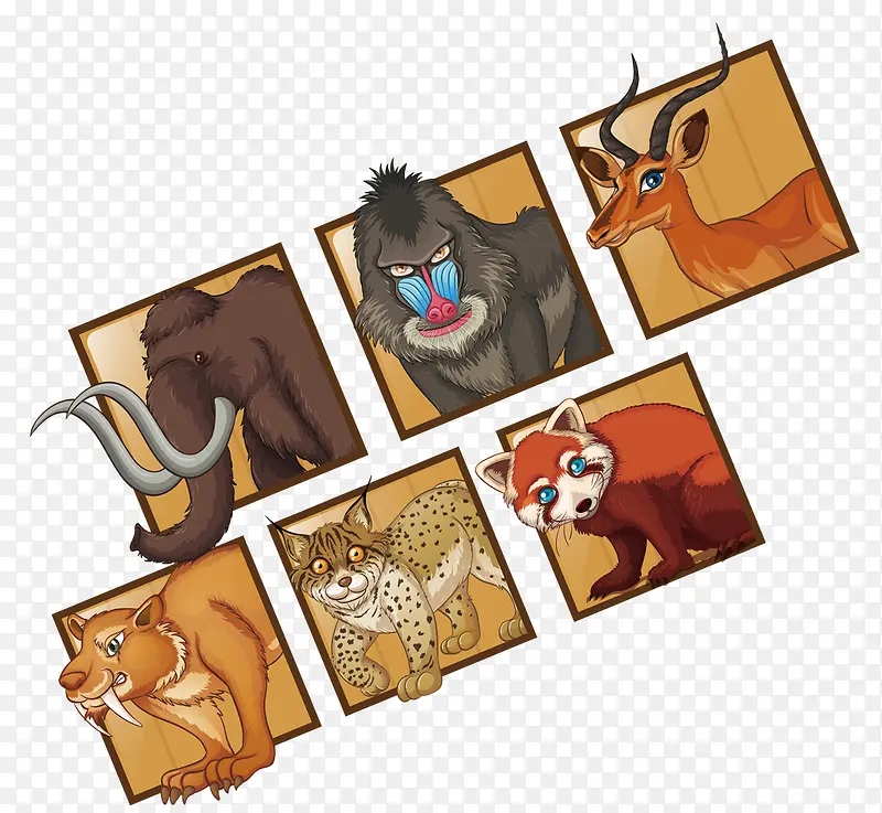 ��ͨ����-������