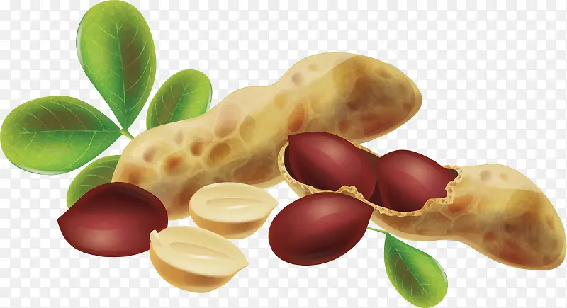 ��ζ�ɹ���Ƥ����-������