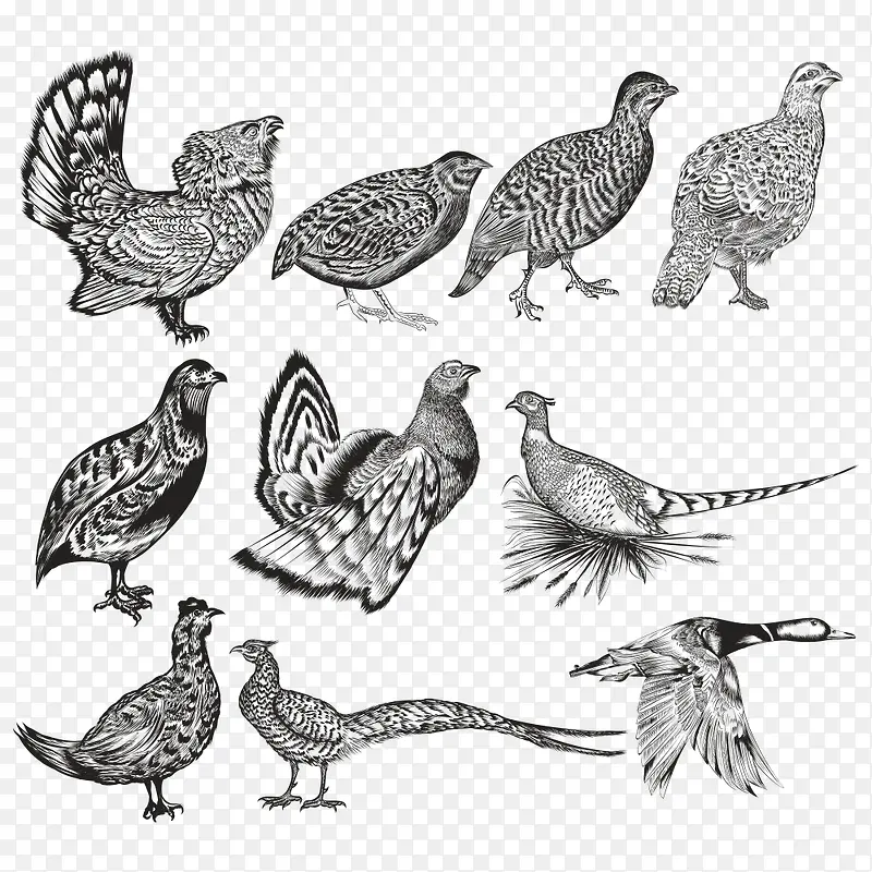 ���趯��-������