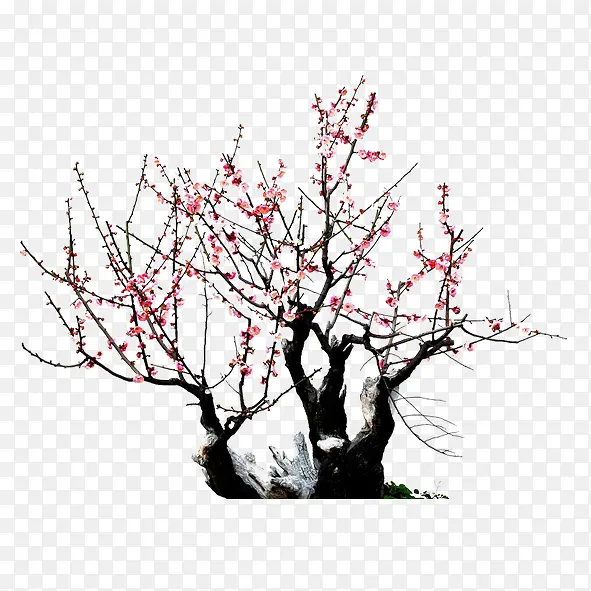 ÷������-������