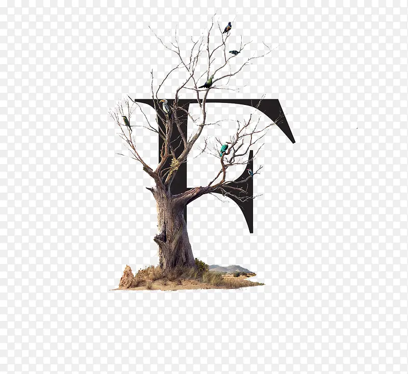 ��ĸF-������