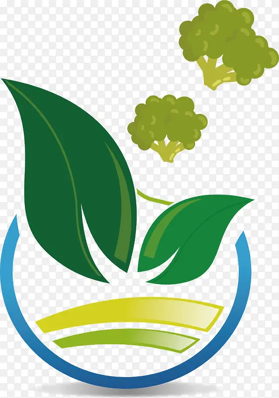 �����߲�-������