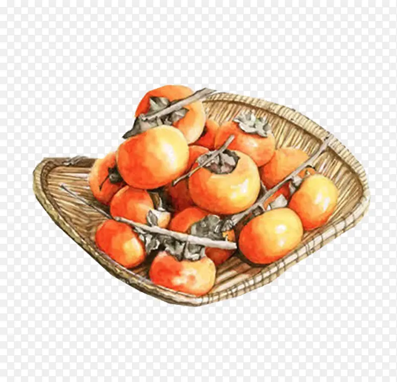 ����ʳ������-������