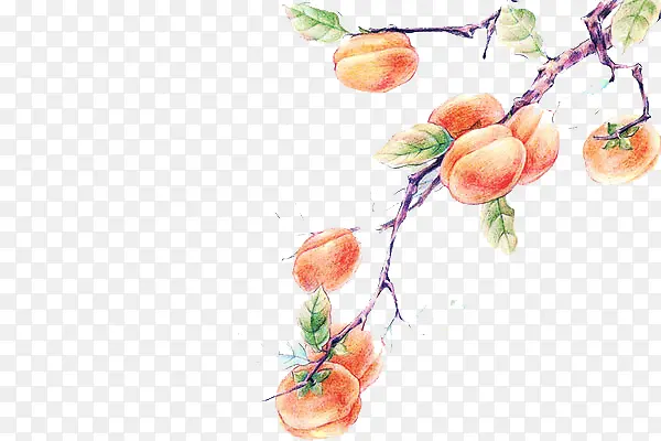 ˮ������-������