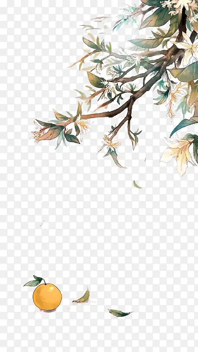 ˮ��������������Ҷ-������