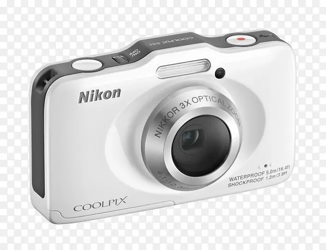 �῵�����-������