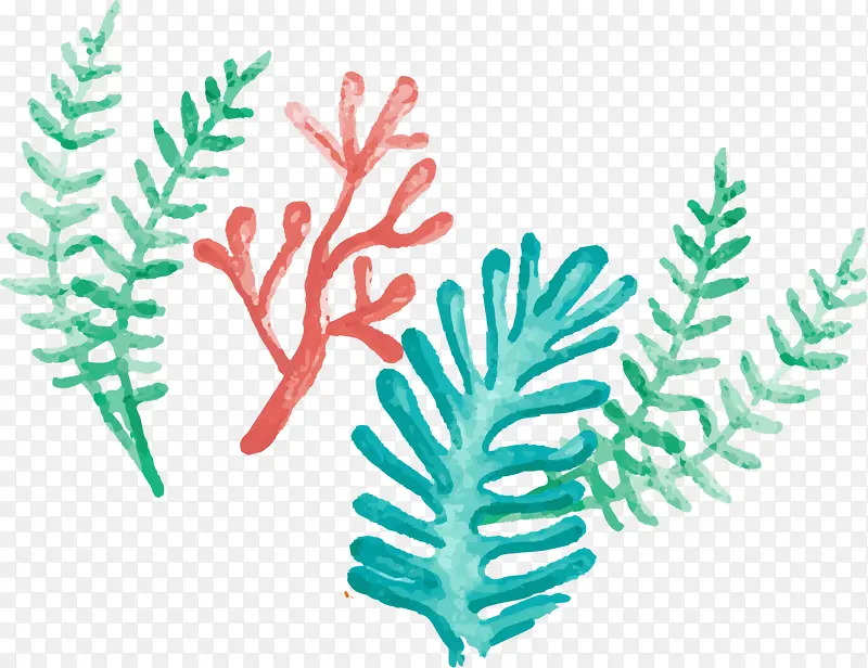 ���纣����һ�Ѻ���-������