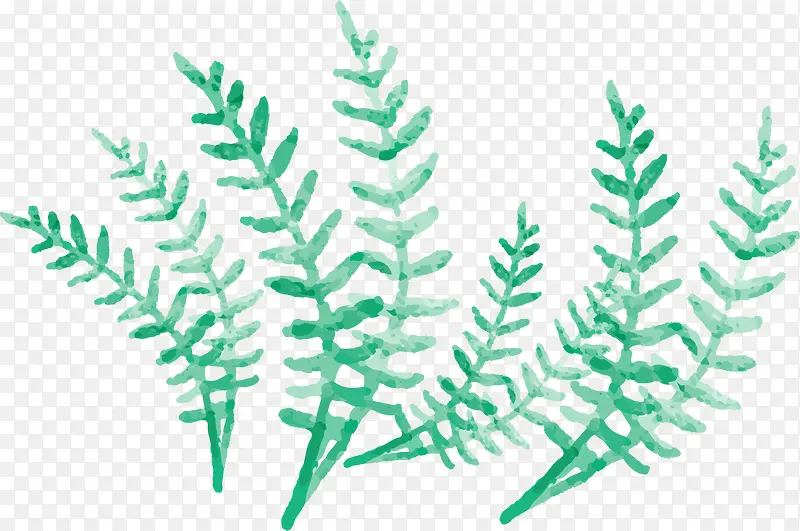 ���纣������ɫ����-������