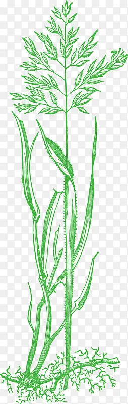 �ֻ��װ�μٻ��ٲ�-������