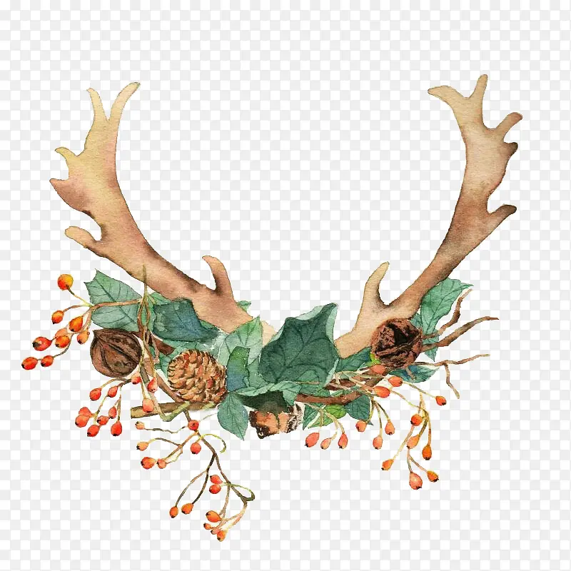 ¹������Ҷ��ʵ�����ز�-������