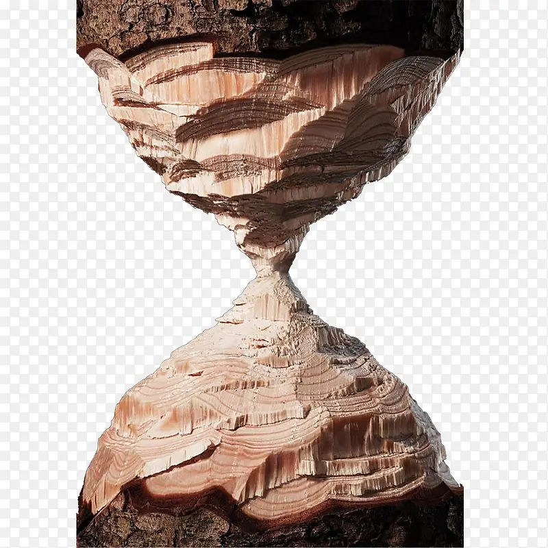 ����ľͷ-������