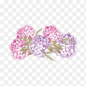 ��ɫ��ɫ�Ļ���-������