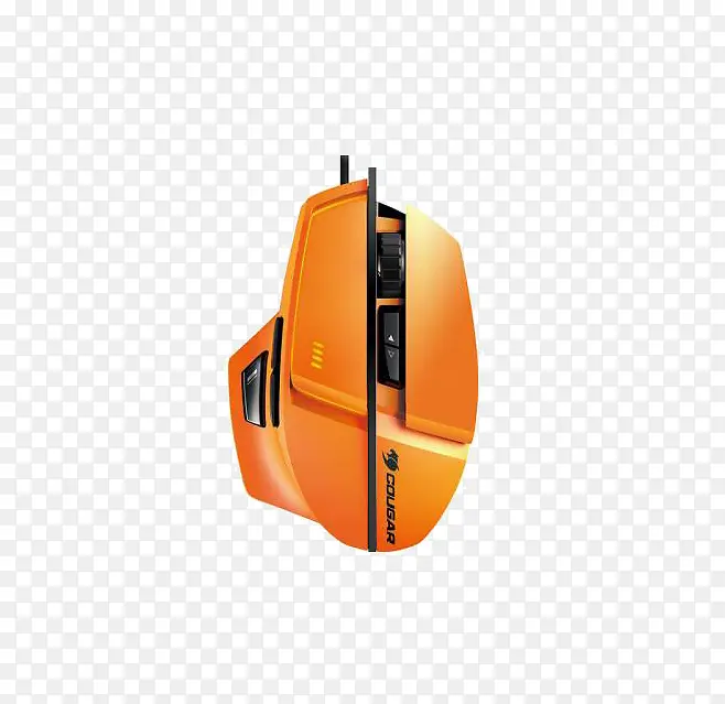 ��ɫ���-������