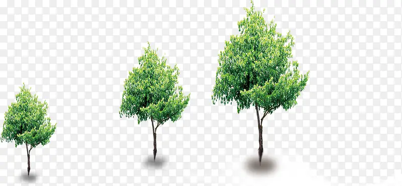 ������-������